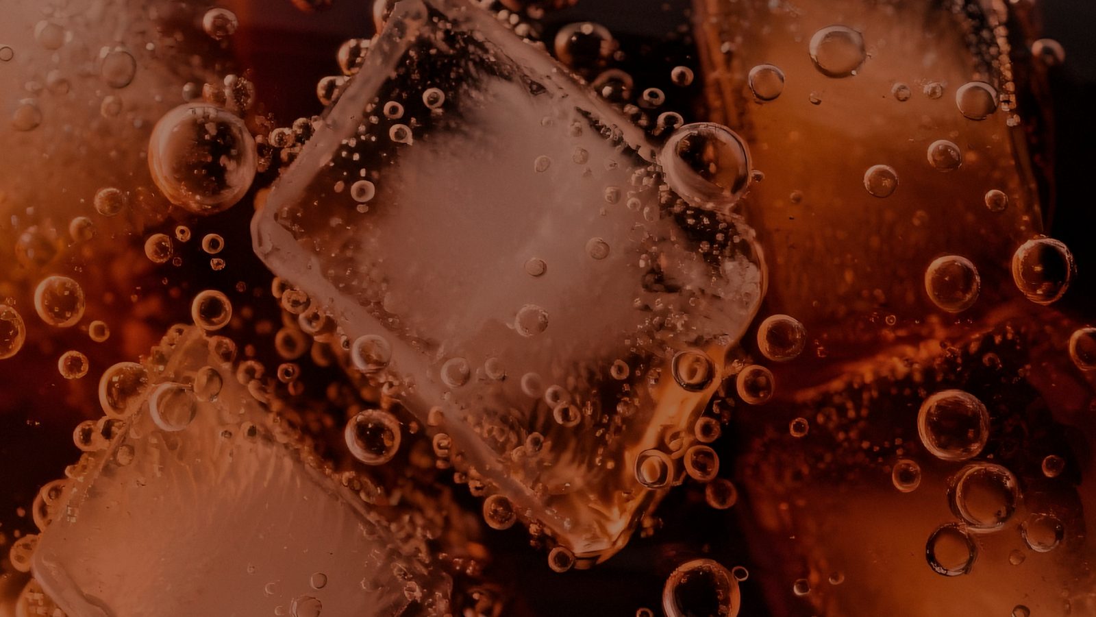 CK Cola Ice nicotine pouches